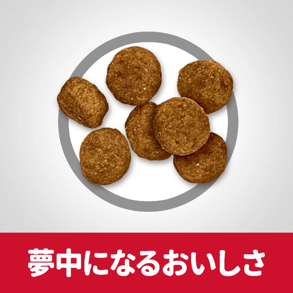 ヒルズ サイエンスダイエット シニア小粒高齢犬 6.5kg - Image 6