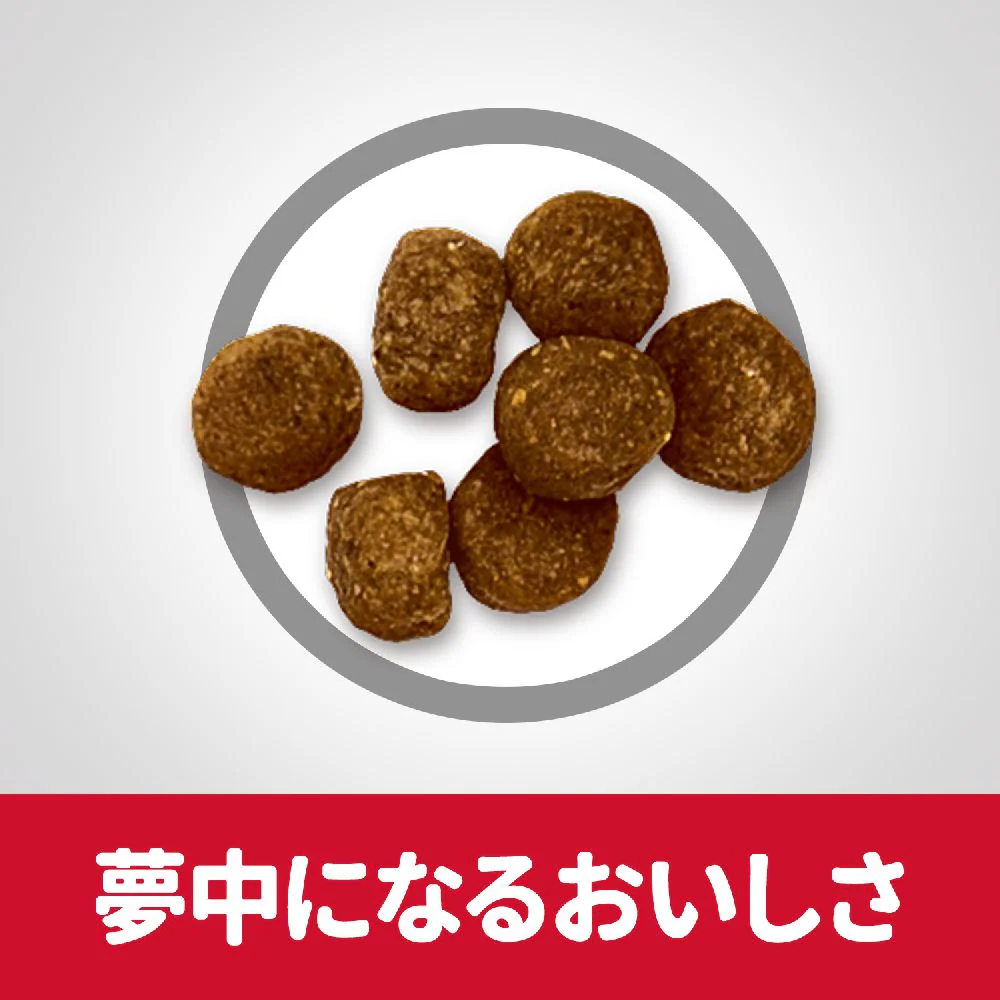 ヒルズ サイエンスダイエット シニアプラス小粒高齢犬用 12kg - Image 6