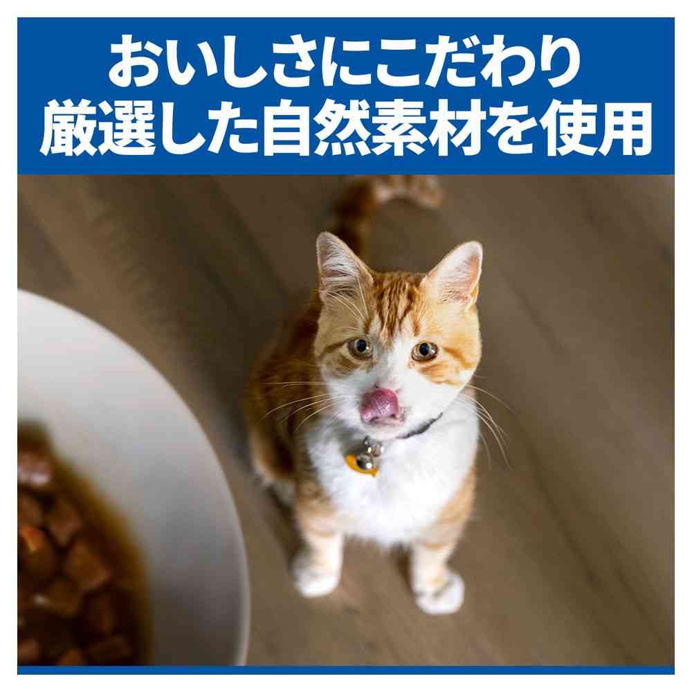 日本ヒルズ サイエンスダイエット 腸の健康サポートプラス 1歳以上の成猫・高齢猫用 チキン 2.5kg - Image 4