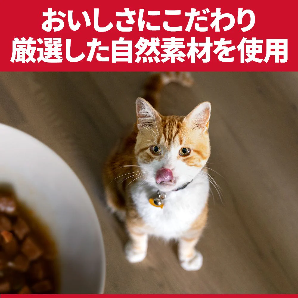 ヒルズ サイエンスダイエット 猫用インドアアダルトチキン成猫 200g - Image 6