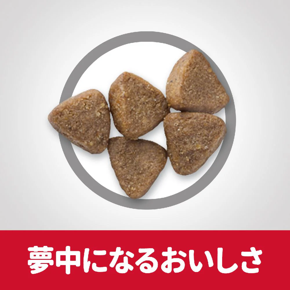 ヒルズ サイエンスダイエット 猫用キトンチキン子ねこ用 1.4kg - Image 6