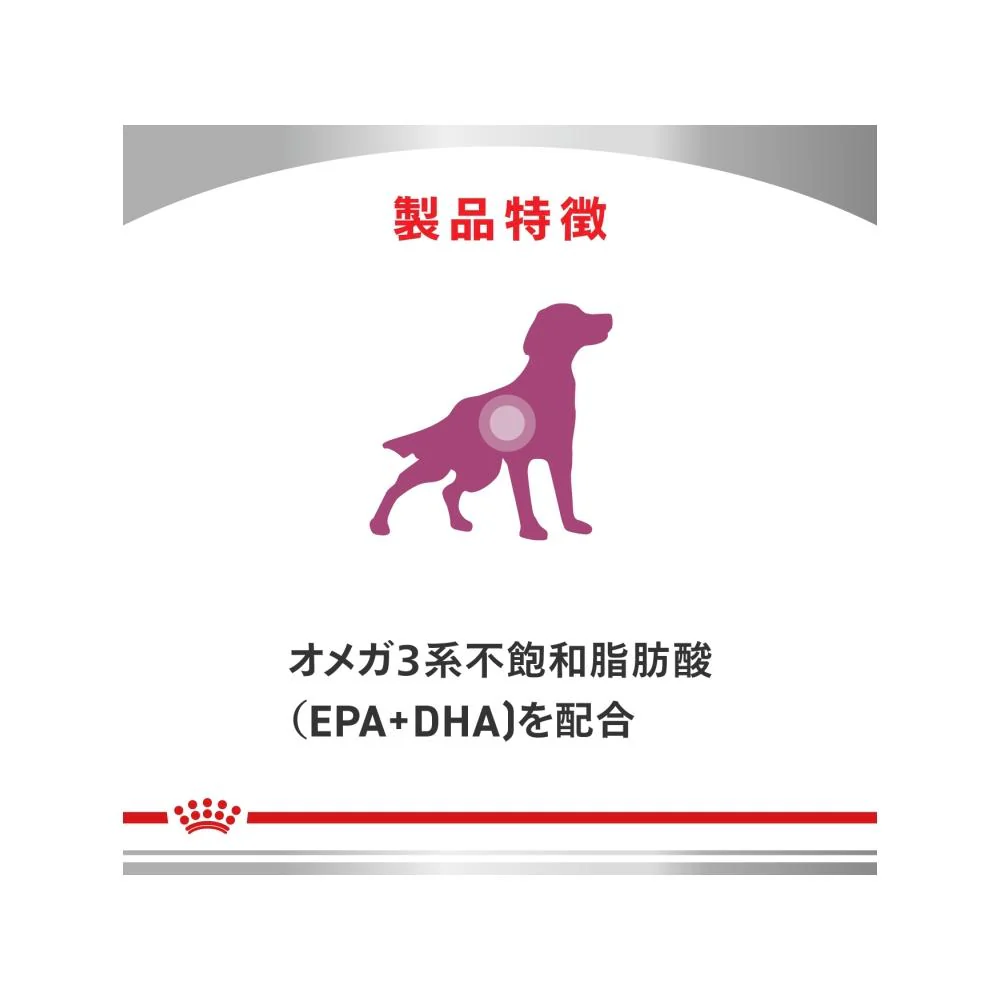 犬用 早期腎臓サポート 小粒 3kg - Image 5