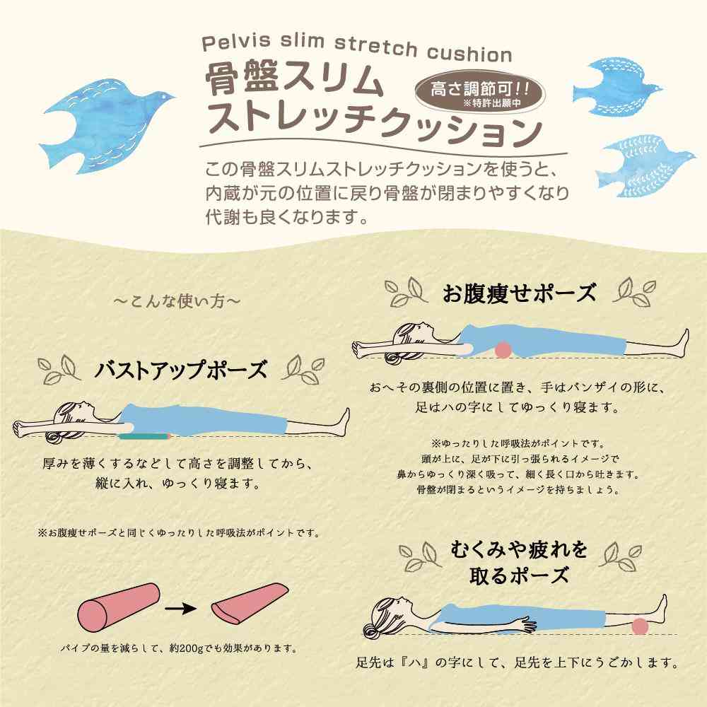 藤栄 ハッピーモチーフ エクササイズ 骨盤 スリム ストレッチクッション  青い鳥 - Image 3