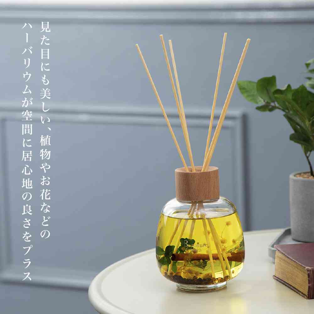 藤栄 B-nature リードディフューザー ジンジャー BN-022 530ml - Image 2