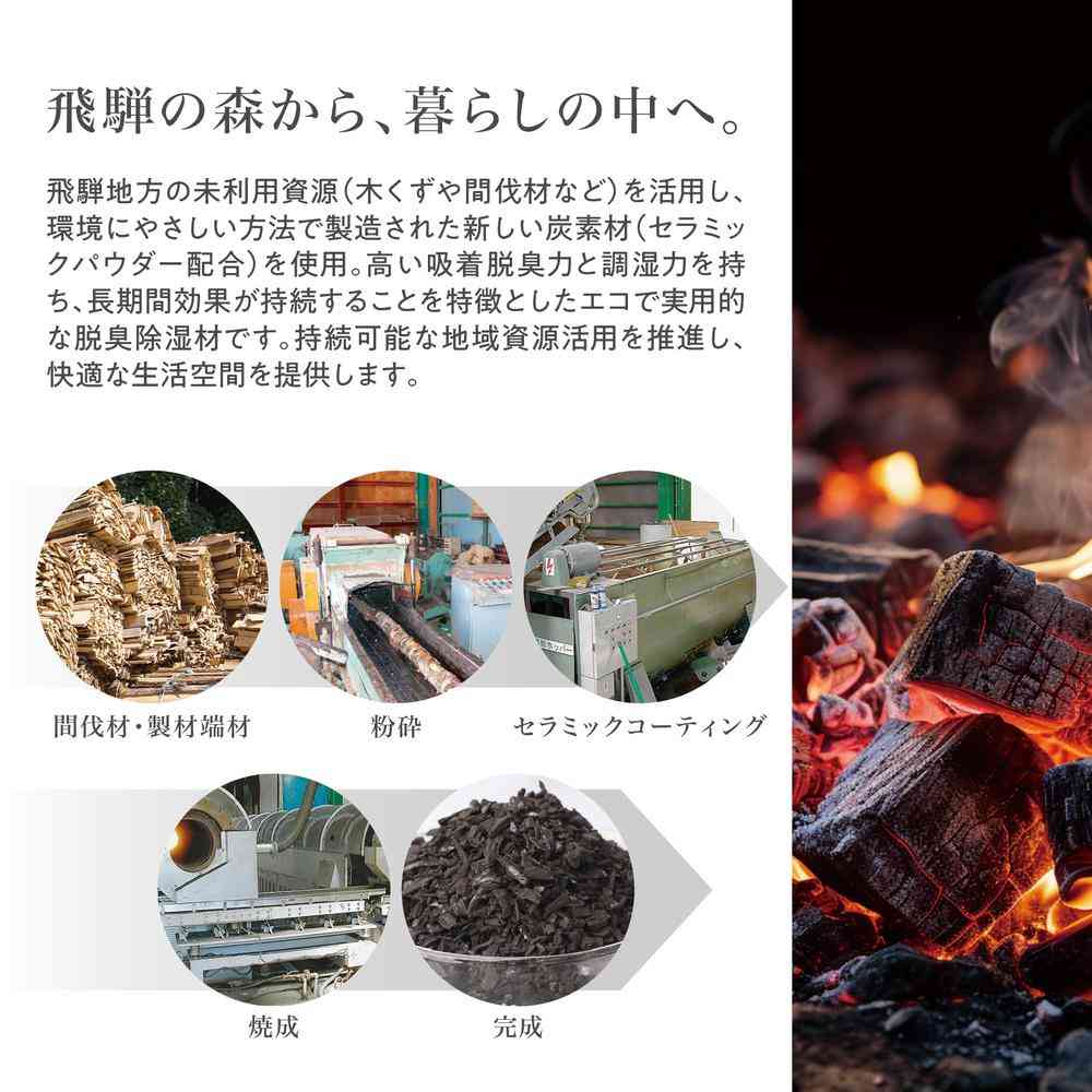 藤栄 飛騨炭 シューズ用 脱臭除湿シート 3足用 HD-001 - Image 5