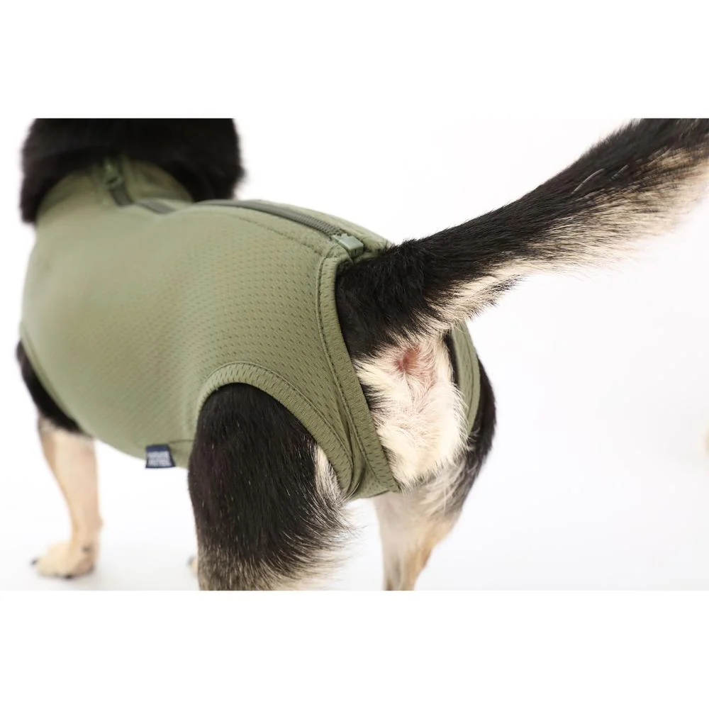 犬用 ベッツウェア 男の子用 カーキ XS 【直送品】 返品・キャンセル・他商品と同時購入は不可 - Image 8