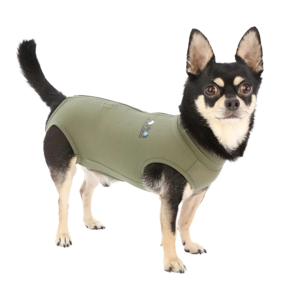 犬用 ベッツウェア 男の子用 カーキ S 【直送品】 返品・キャンセル・他商品と同時購入は不可 - Image 4