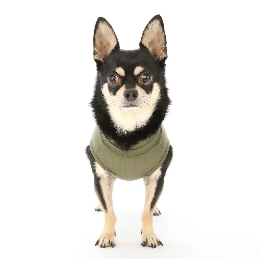 犬用 ベッツウェア 男の子用 カーキ S 【直送品】 返品・キャンセル・他商品と同時購入は不可 - Image 5