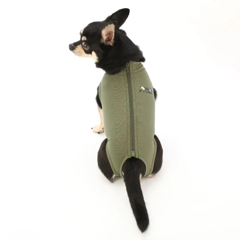 犬用 ベッツウェア 男の子用 カーキ S 【直送品】 返品・キャンセル・他商品と同時購入は不可 - Image 6