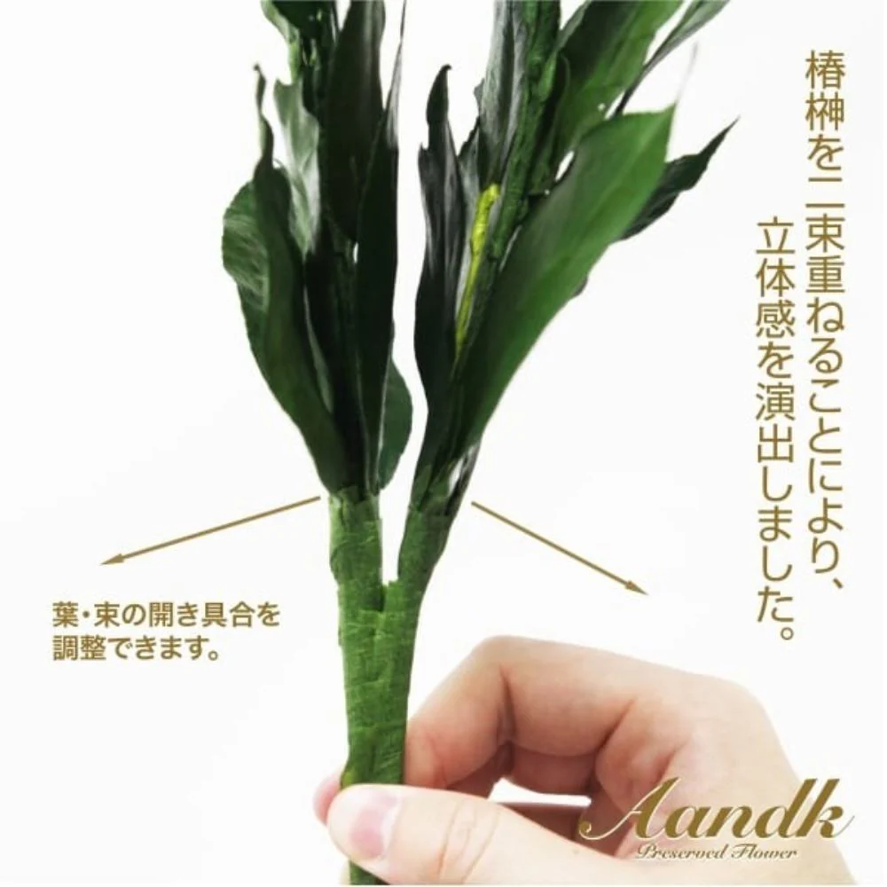 榊 プレミアムプリザーブドS FS-003SV 【直送品】 返品・キャンセル・他商品と同時購入は不可 - Image 2