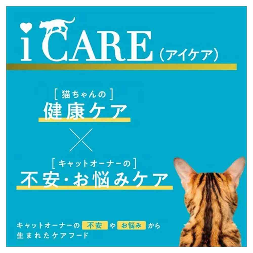 アイシア  i CARE 水分補給 まぐろペースト 35g - Image 4