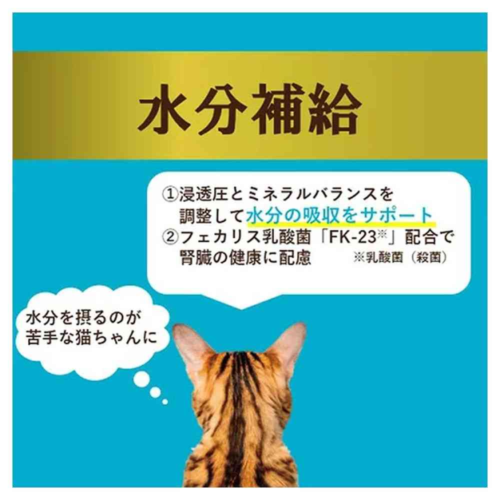 アイシア  i CARE 水分補給 まぐろペースト 35g - Image 7