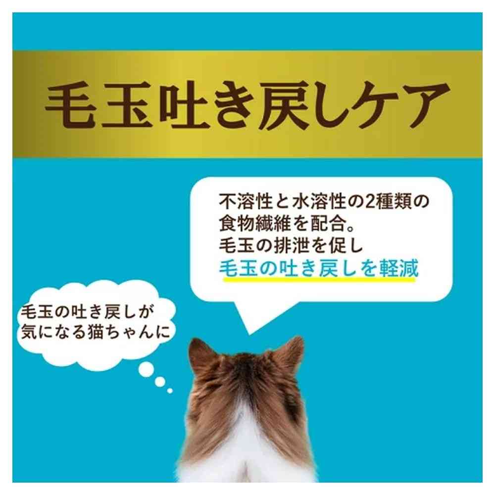アイシア  i CARE 毛玉吐き戻しケア まぐろペースト 35g - Image 7