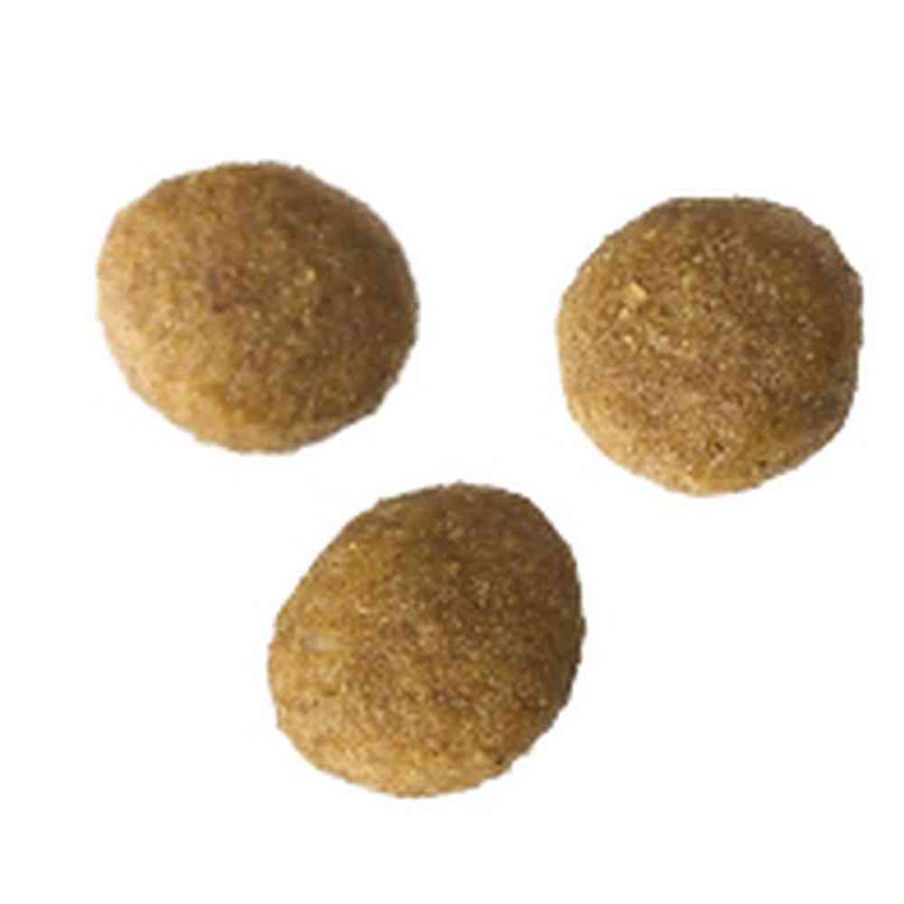 アイシア  i CARE キャットドライ 子ねこ用 フィッシュ＆チキン味 400g - Image 3