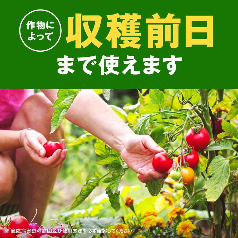 （農）アースガーデン 野菜うまし 1000ml - Image 5