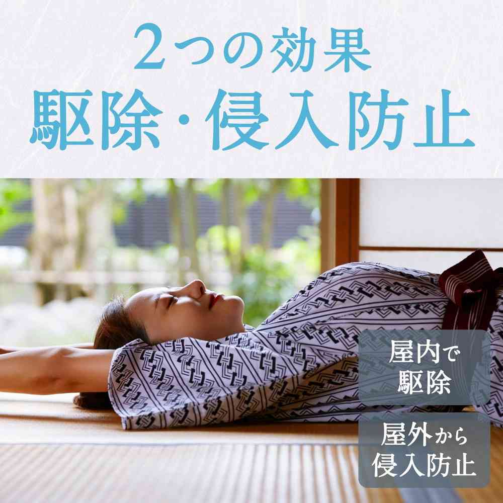 アース ノーマット 取替えボトル 無香料 30日用 2本入 - Image 4