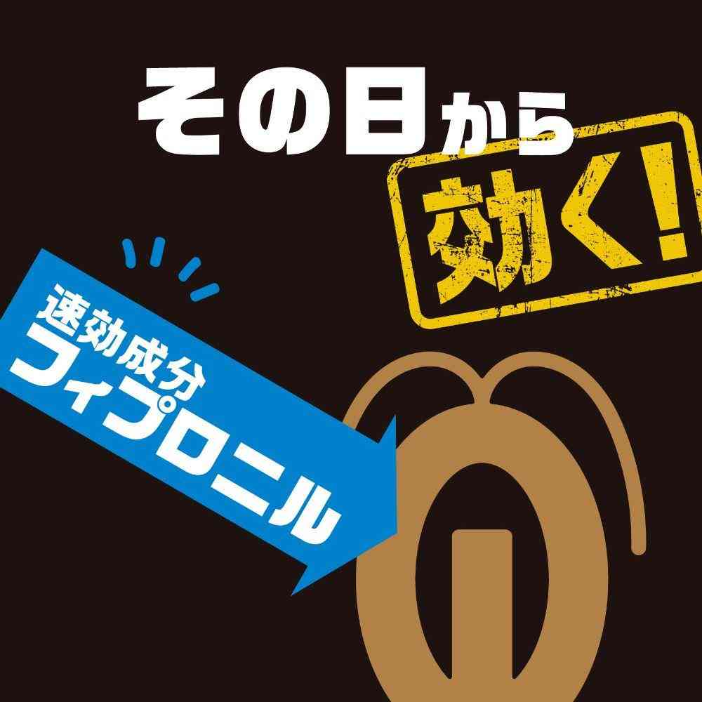 【防除用医薬部外品】アース製薬 ブラックキャップ フィットタイプ 32個入 - Image 5
