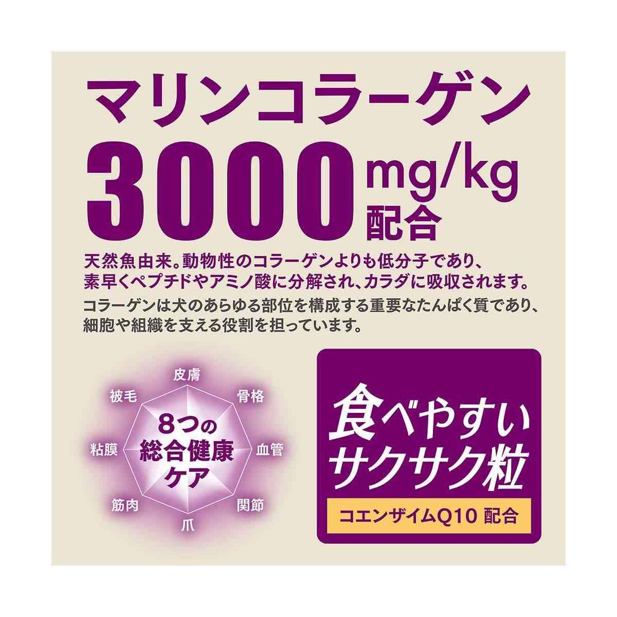 日本ペットフード ビューティープロ ドッグ パウダフル 10歳以上 ビーフ味・チーズ味パウダー付 270g×6袋+6g×6包 - Image 9