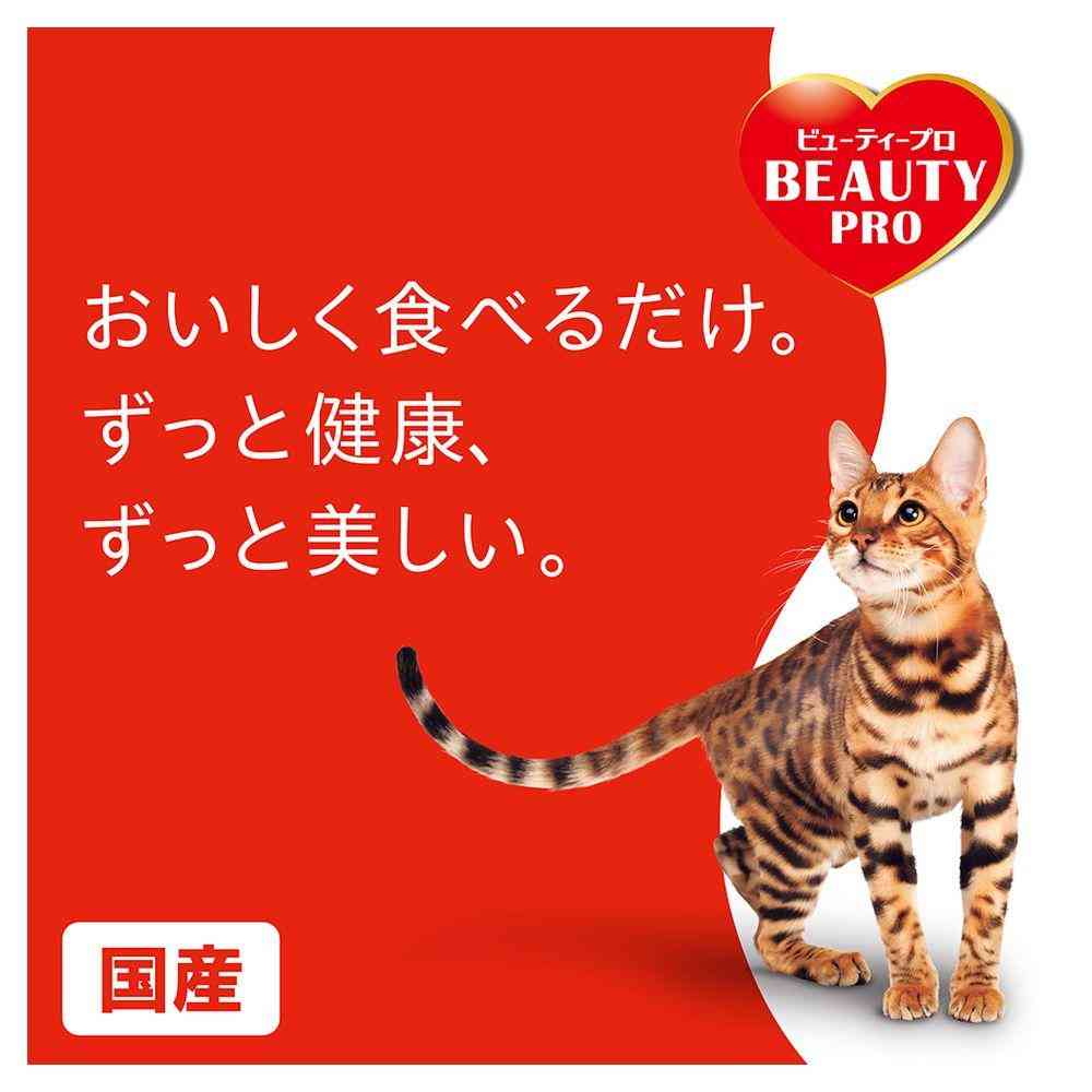 日本ペットフード ビューティープロ キャット Wケア 腸内環境・自然免疫ケア 1.2kg(240gx5) - Image 5