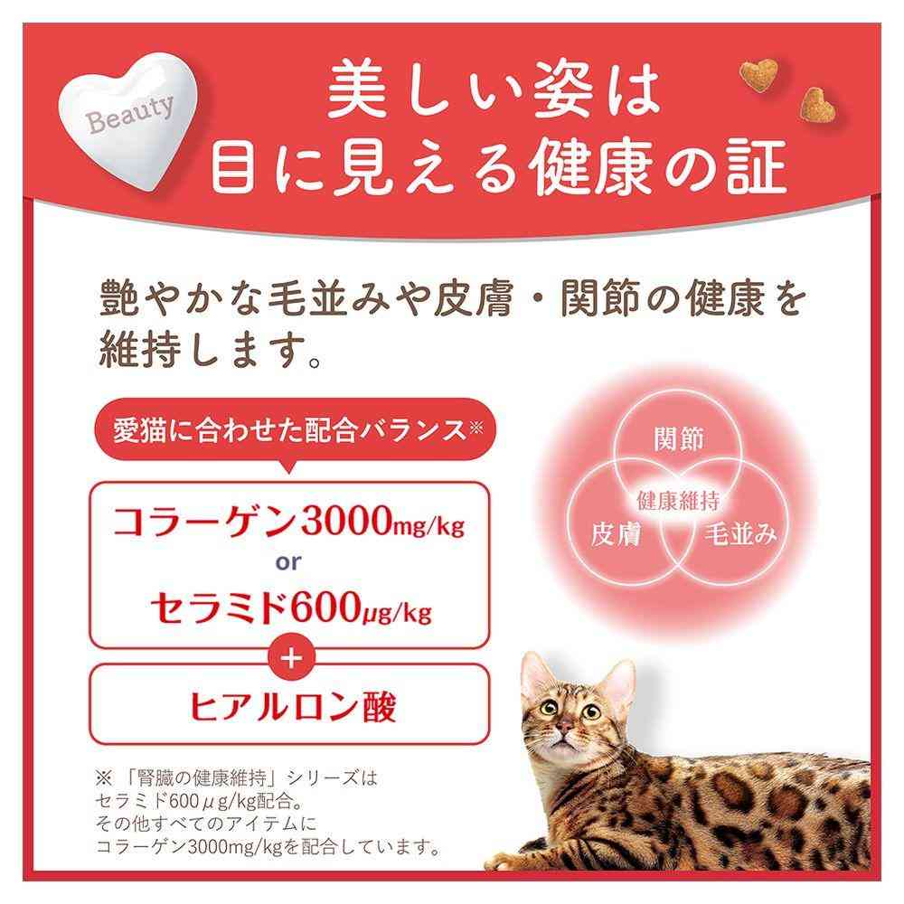 日本ペットフード ビューティープロ キャット Wケア 腸内環境・自然免疫ケア 1.2kg(240gx5) - Image 7