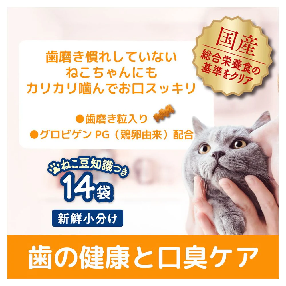 日本ペットフード コンボ プレゼント キャット 歯の健康と口臭ケア シーフードミックス 42g（3gx14） - Image 7
