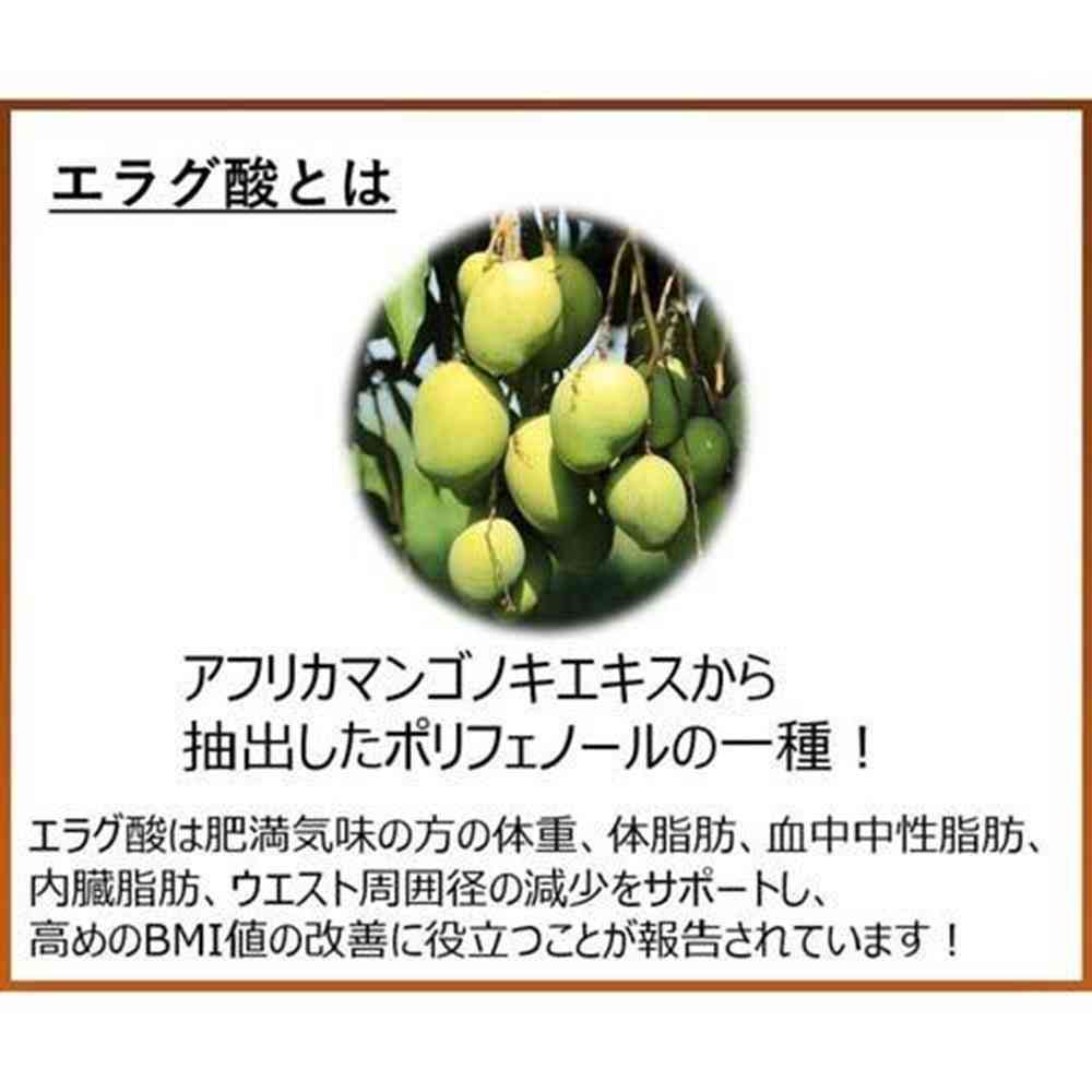 ◆【機能性表示食品】メロディアン スリーダウン コーヒー 10g×18個 - Image 8