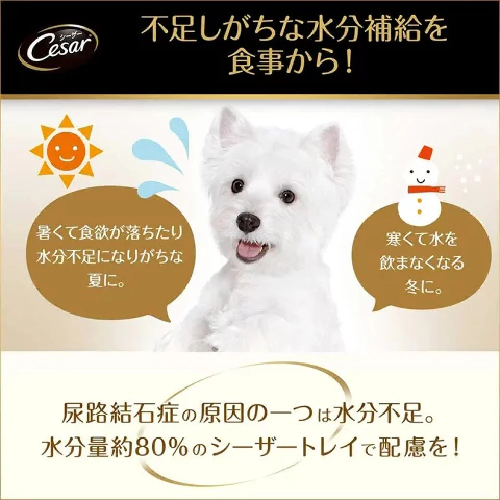 マース シーザー 子いぬ用 ビーフ にんじん・たまご入り 100g - Image 6