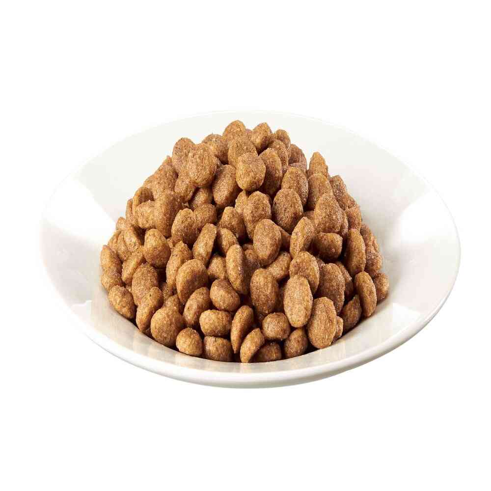 マースジャパンリミテッド シーザードライ 成犬用 ラムと4種の農園野菜入り 小粒 1.5kg - Image 10