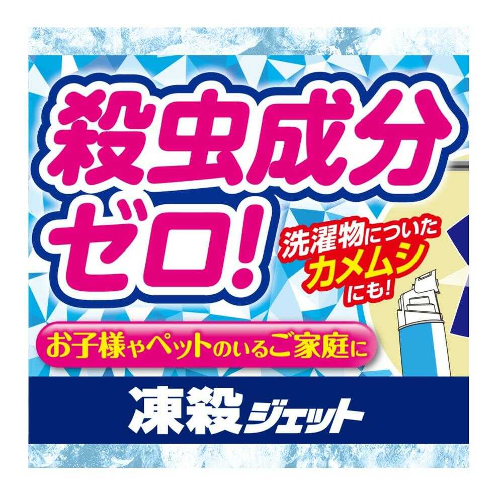 フマキラー 凍殺ジェット 300ml - Image 3