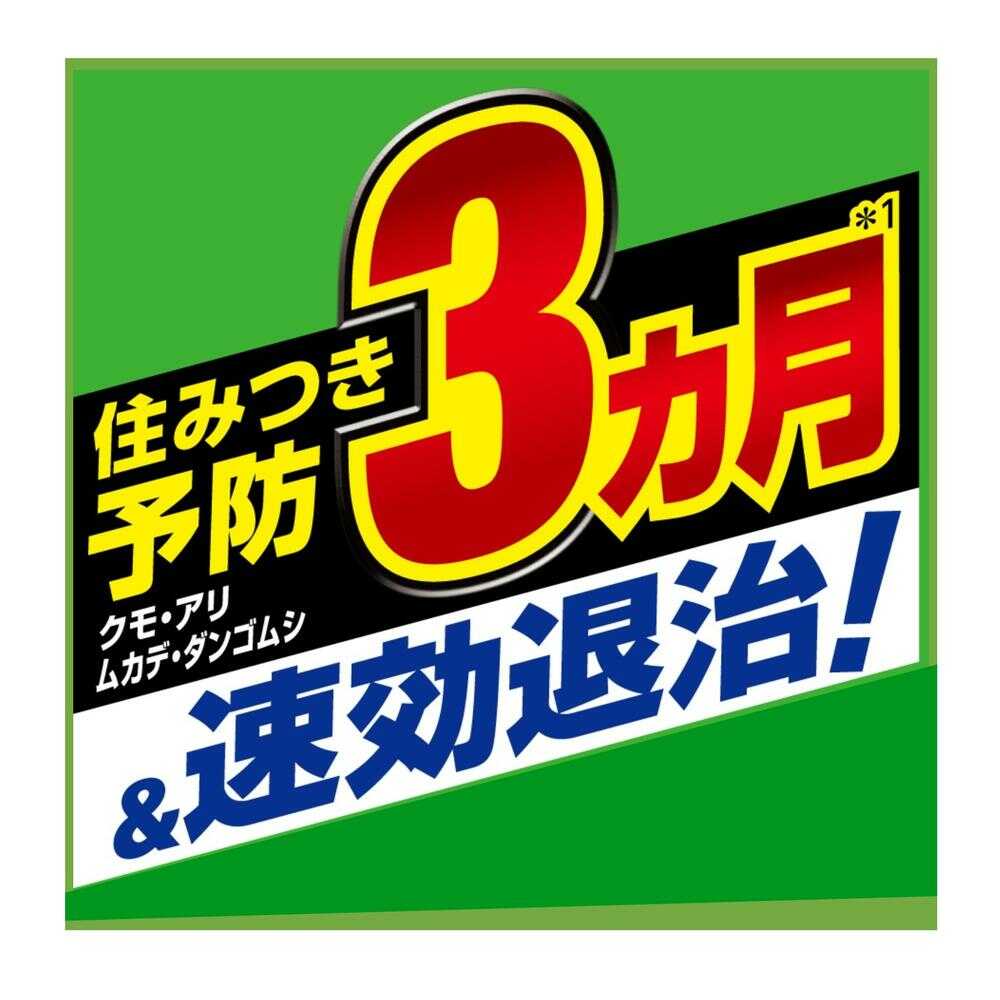 フマキラー カダン お庭の虫キラー ハンドスプレー 1000ml - Image 2