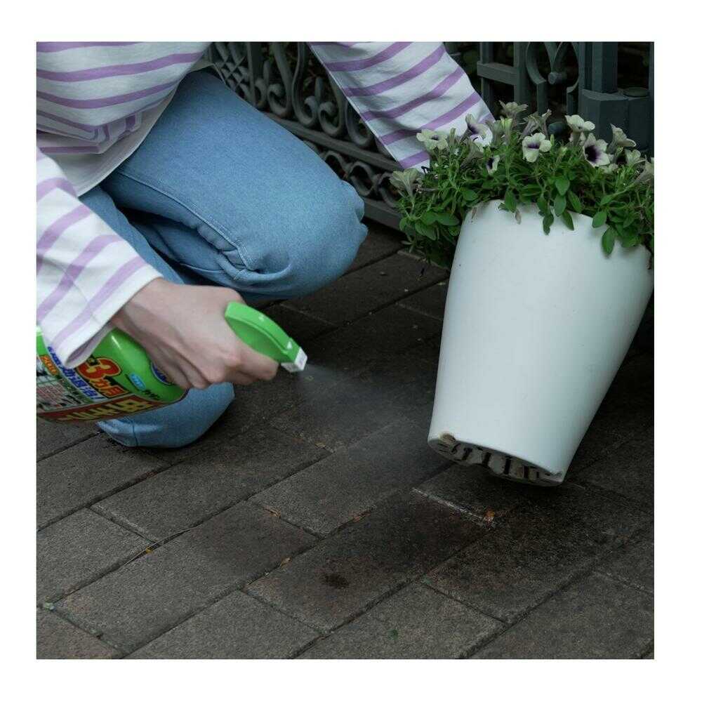 フマキラー カダン お庭の虫キラー ハンドスプレー 1000ml - Image 7
