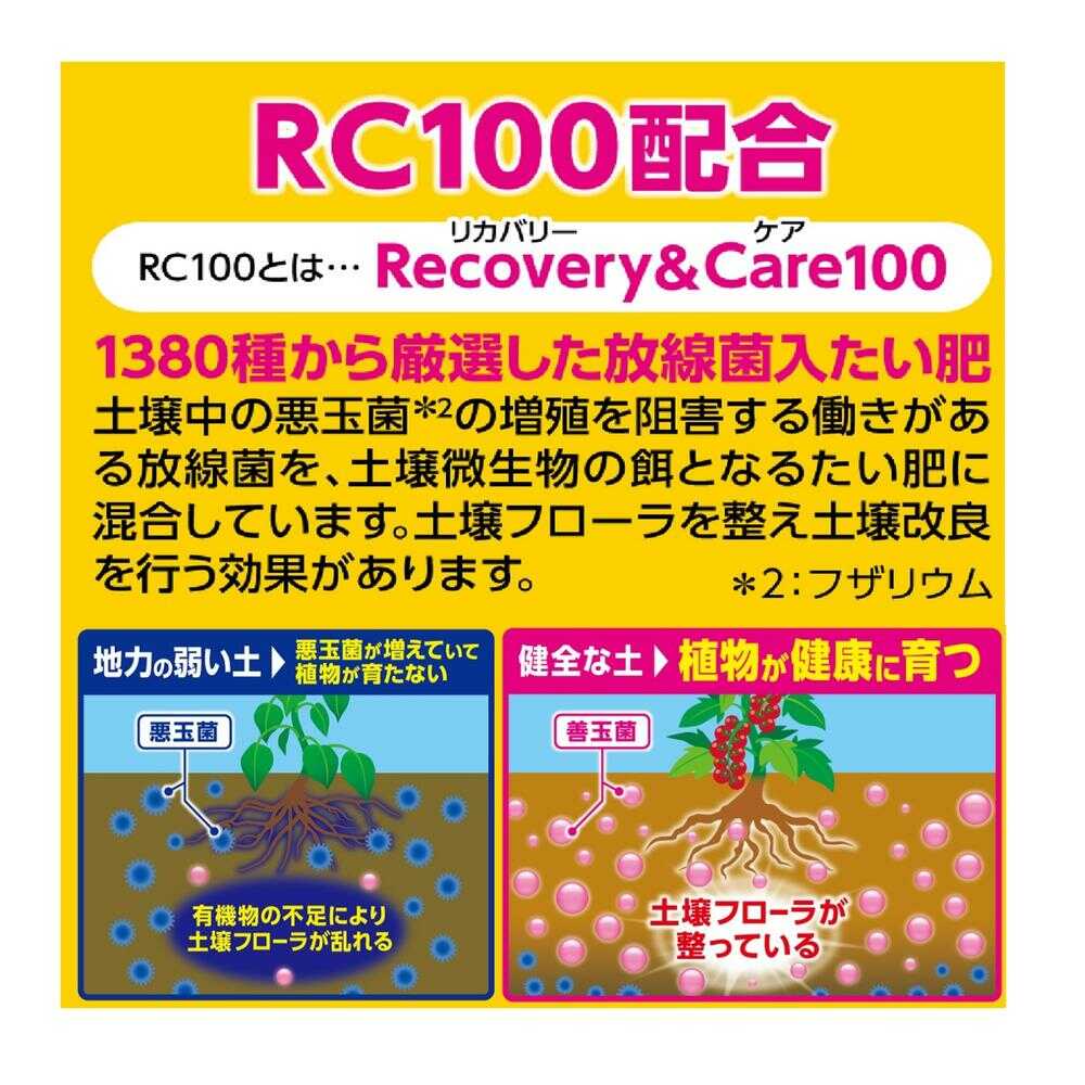 フマキラー カダン 感動肥料 野菜用 500g - Image 4