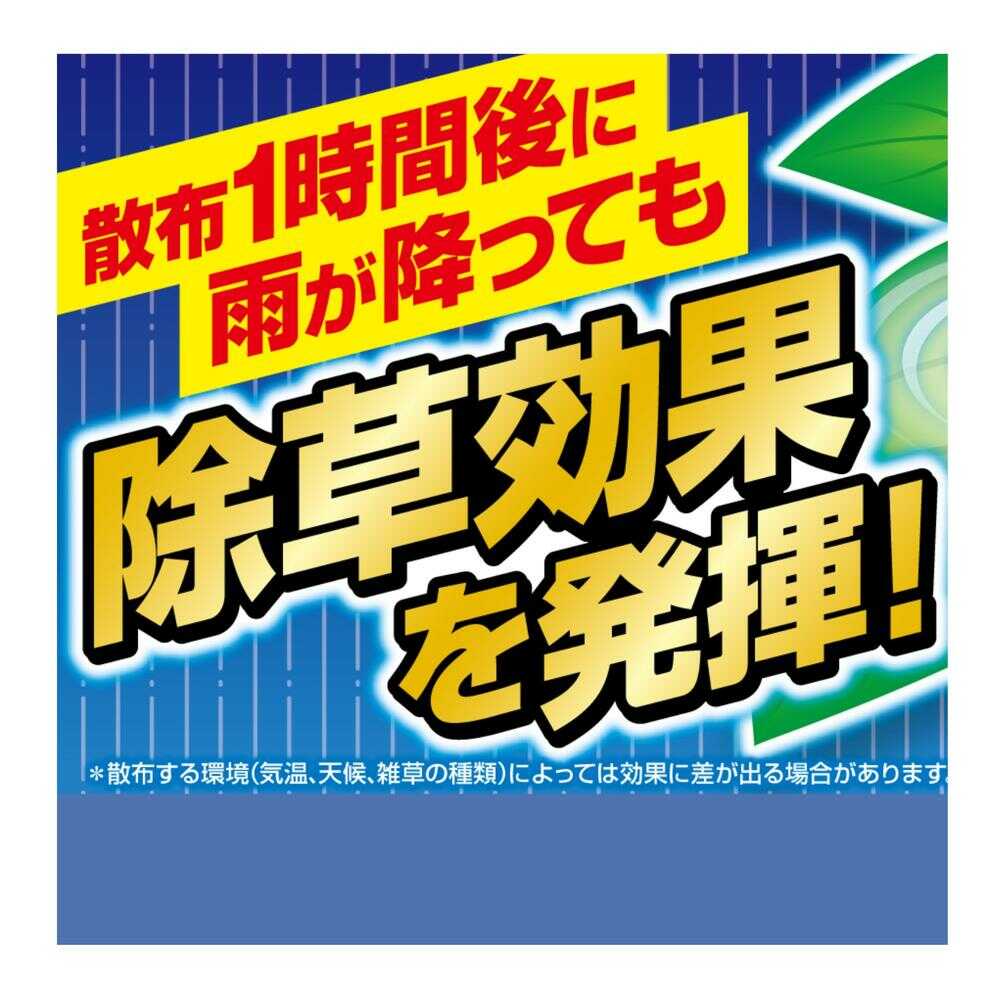 (農)フマキラー カダン 除草王 ザッソージエース 2L - Image 4