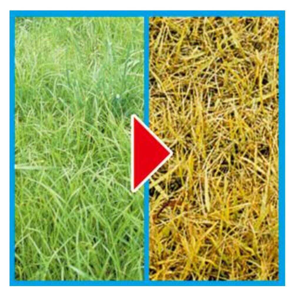 （農）フマキラー  カダン  除草王  オールキラー  粒剤  400g - Image 5