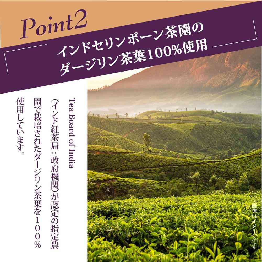 ◆守山乳業 喫茶店の味 オーガニック 紅茶 1000g - Image 12