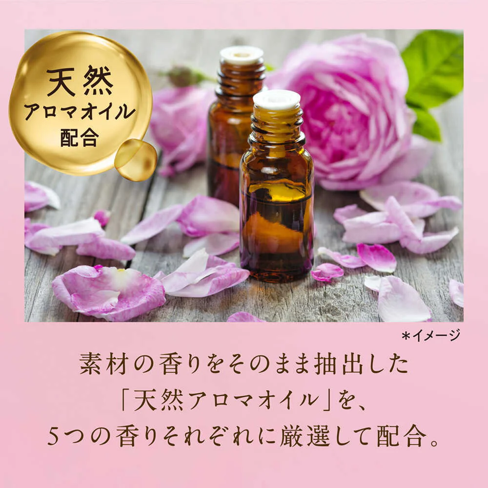 ライオン ソフラン アロマリッチ エリー 詰め替え 特大 750ml - Image 4