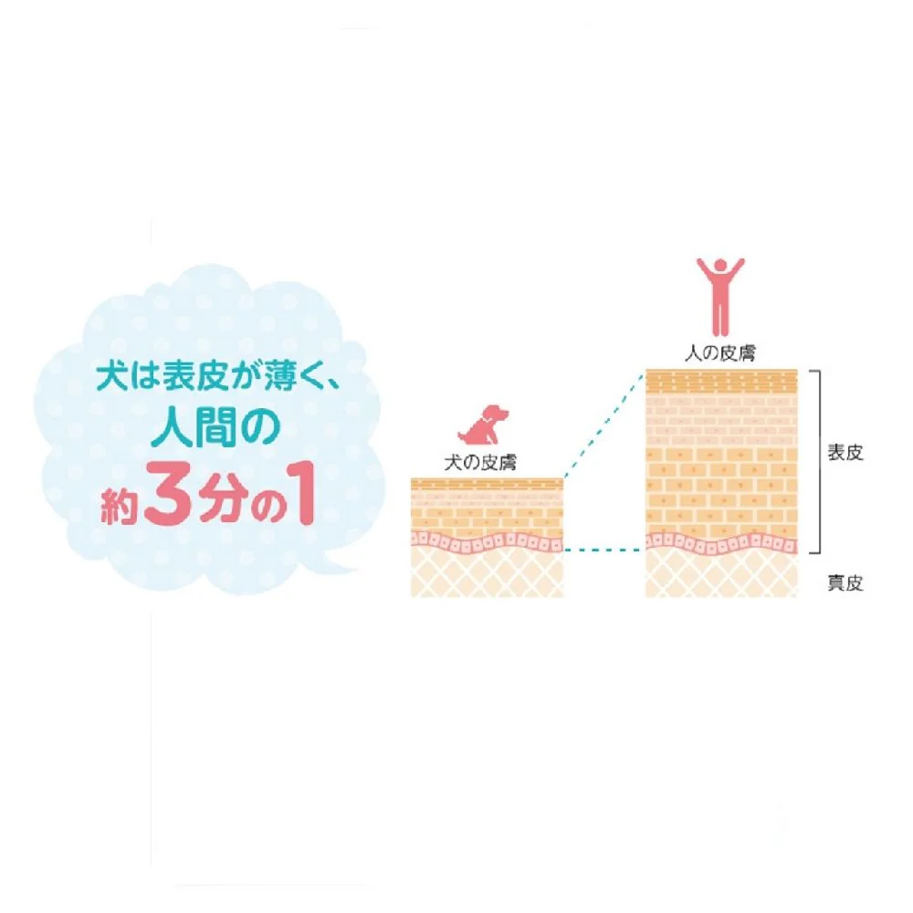 ライオン ペットキレイ 泡リンスインシャンプー 犬用 ニオイクリア つめかえ 450ml - Image 7