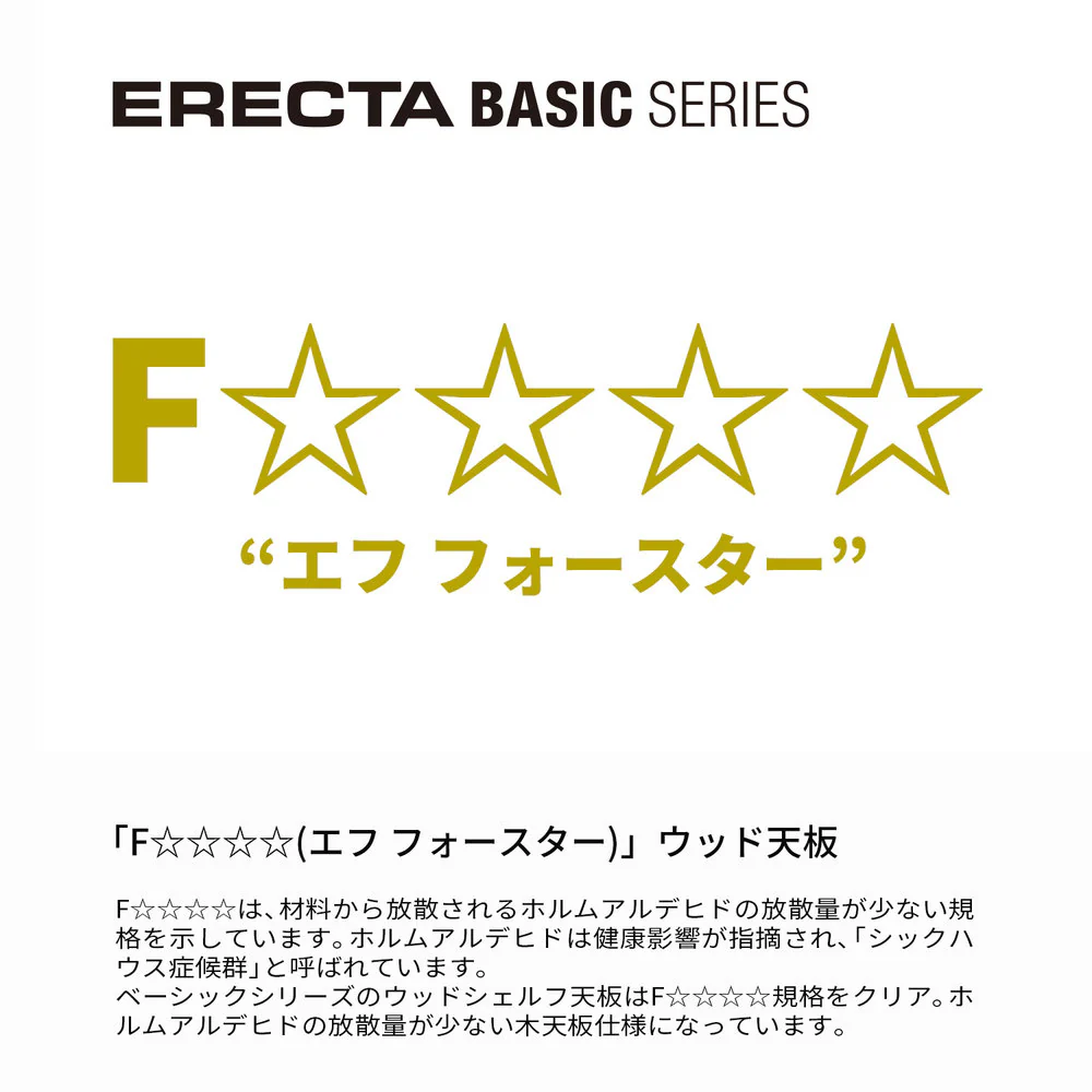 エレクター ベーシックシリーズウッドシェルフ W600xD450mm ブラックウッド ブラックフレーム 棚用 B1824MBB1 - Image 9