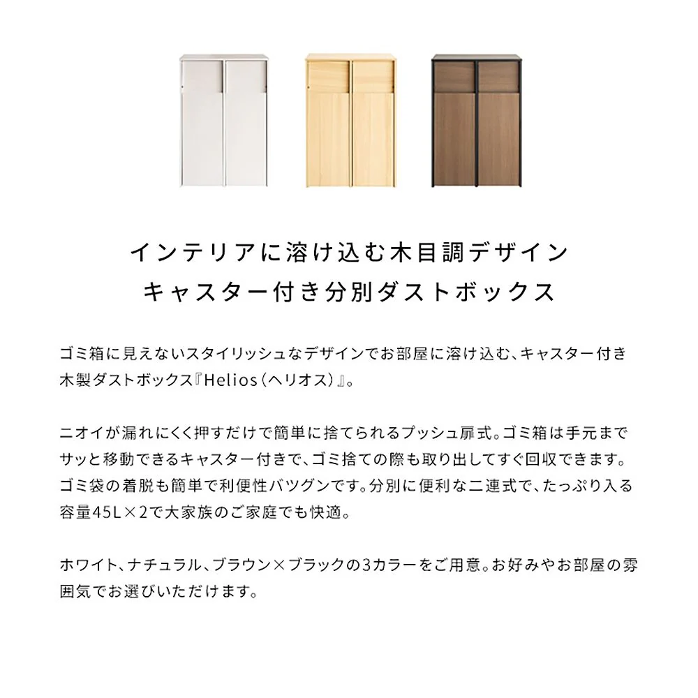 分別キャスターダストボックス DB-F2100 BRBK 組立必要【直送品】 返品・キャンセル・他商品と同時購入は不可 - Image 2