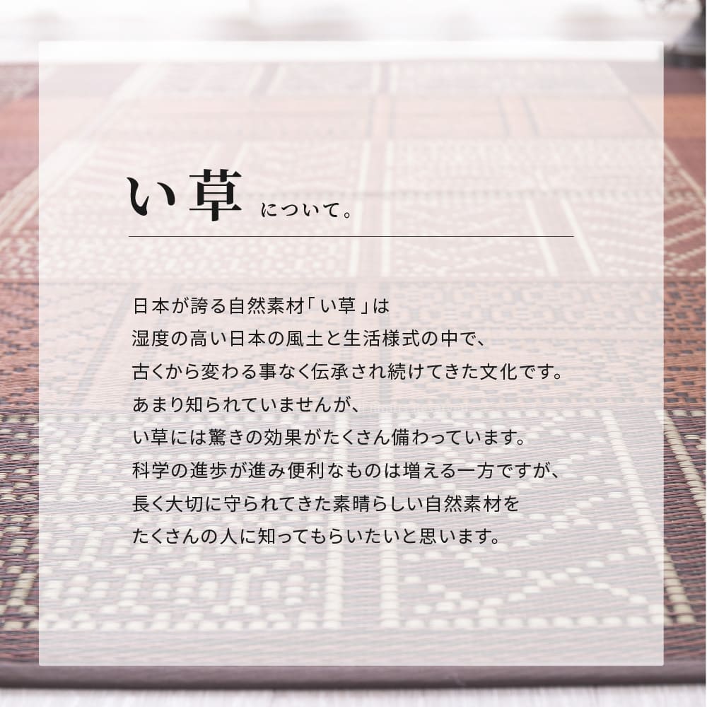 い草ラグ 伊勢 ブラウン 176×220 【直送品】 返品・キャンセル・他商品と同時購入は不可 - Image 5