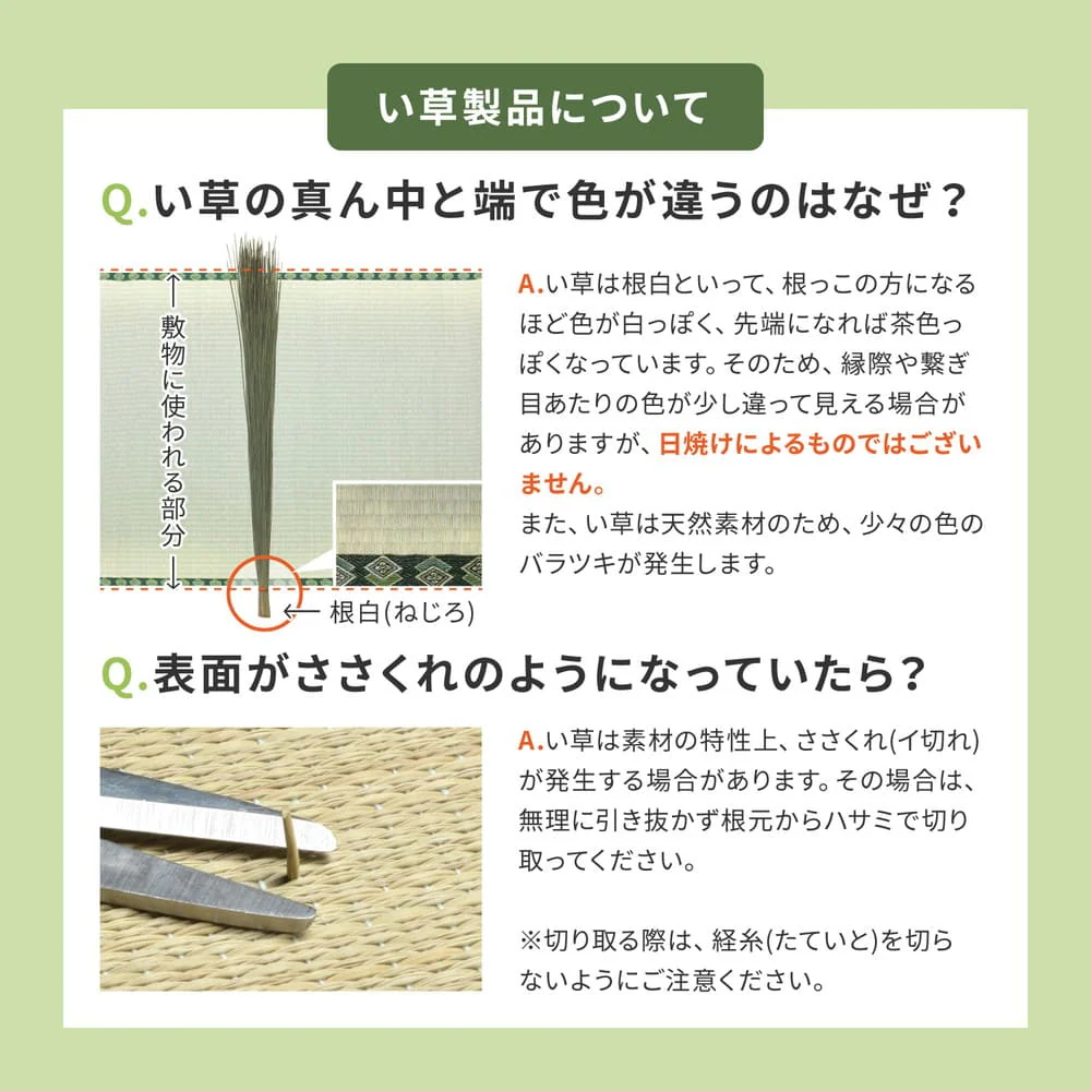 カラーの選べる軽量置き畳 紗彩 グリーン 同色9枚組 【直送品】 返品・キャンセル・他商品と同時購入は不可 - Image 11