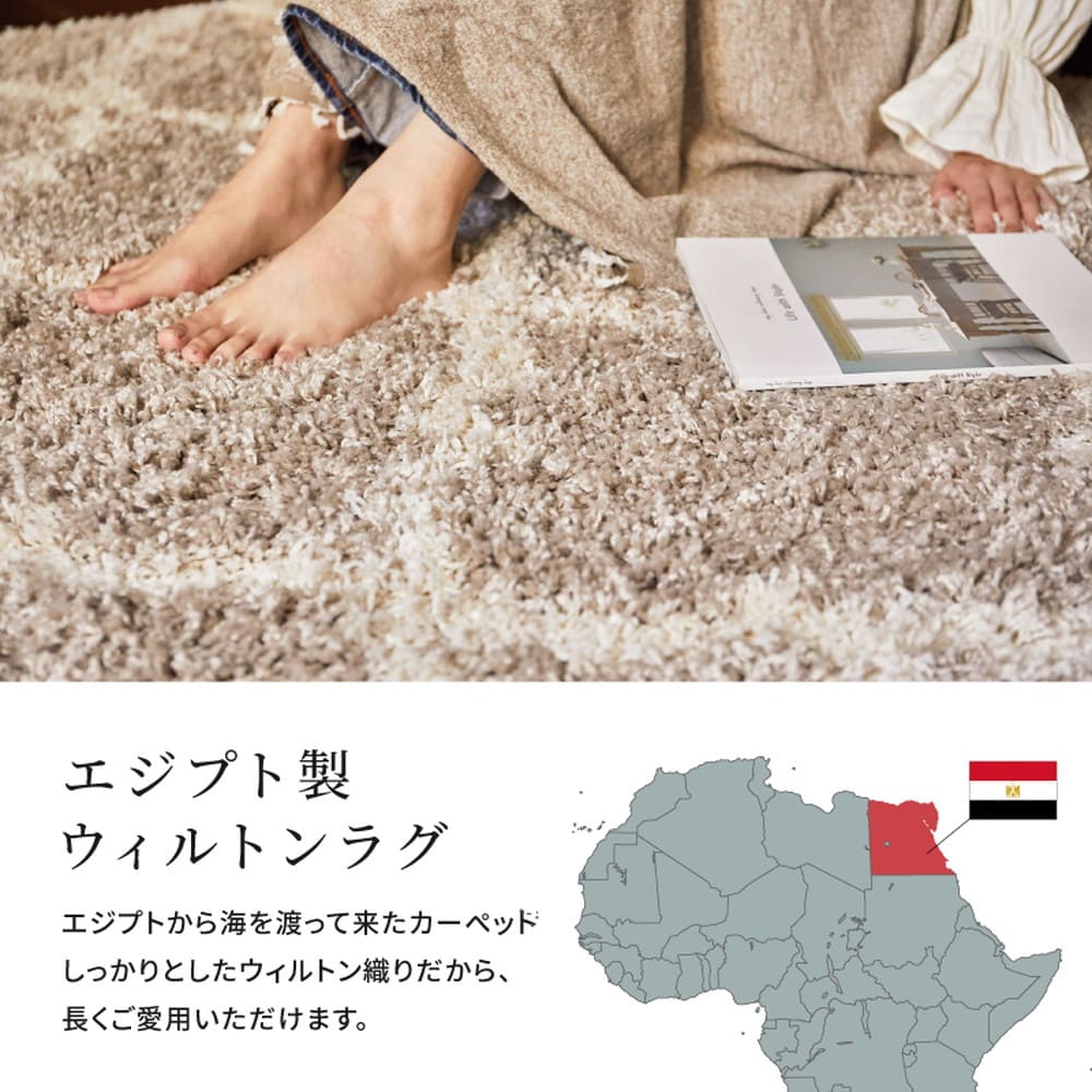 ベニワレン柄のウィルトン織シャギーラグ ラリス GY200×250 【直送品】 返品・キャンセル・他商品と同時購入は不可 - Image 4