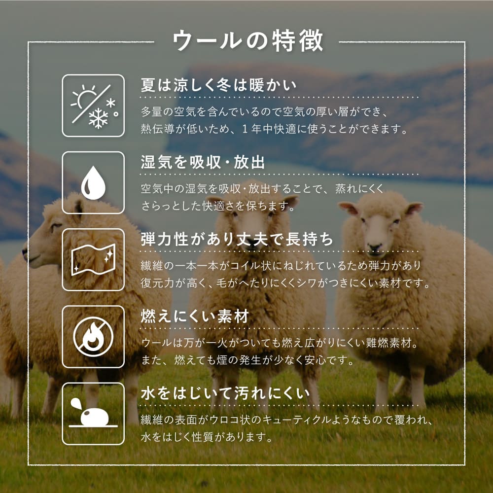 GABBEH D21 45X75 45×75cm 【直送品】 返品・キャンセル・他商品と同時購入は不可 - Image 8