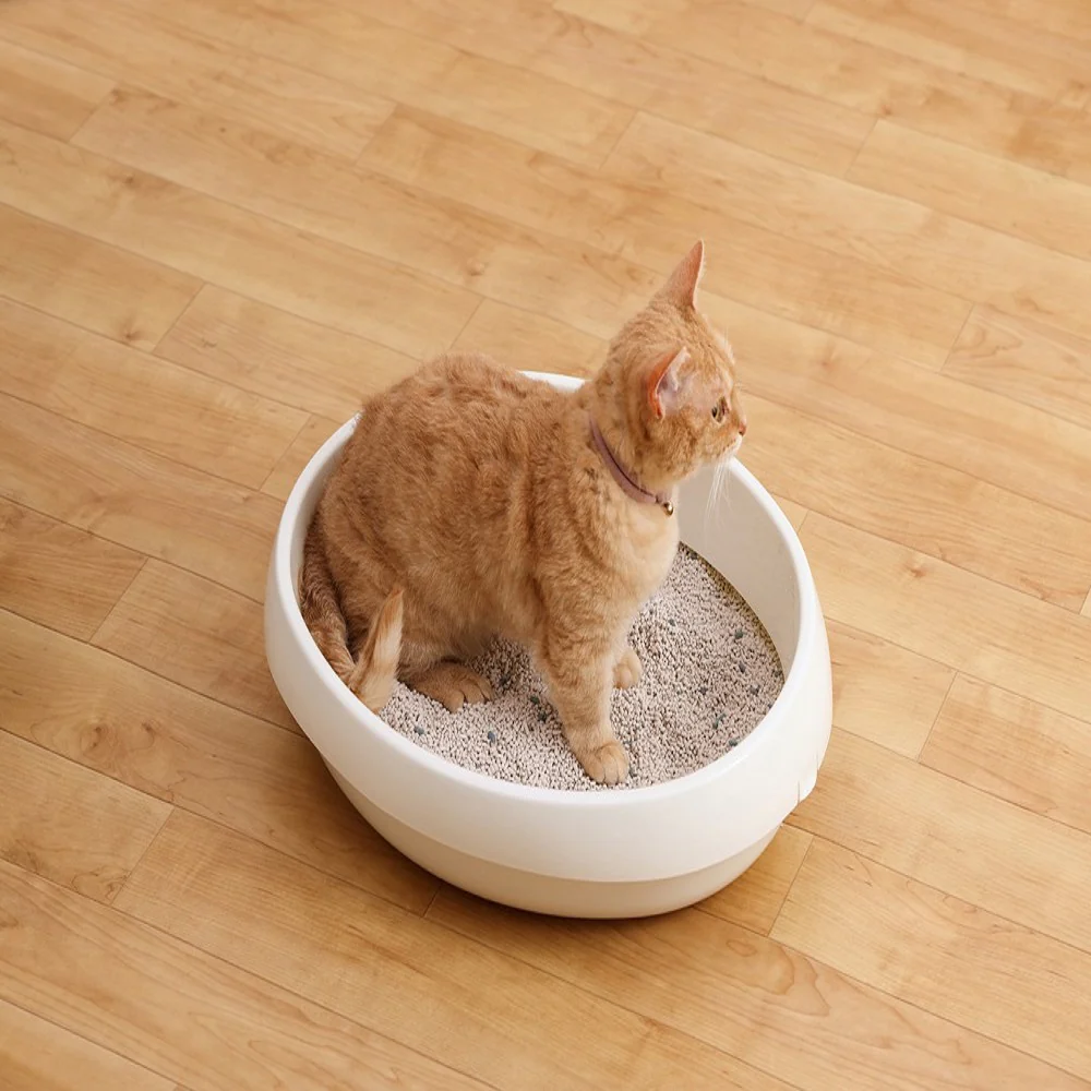 アイリスオーヤマ クリーンサンド ボタニカルソープの香り 5L - Image 3