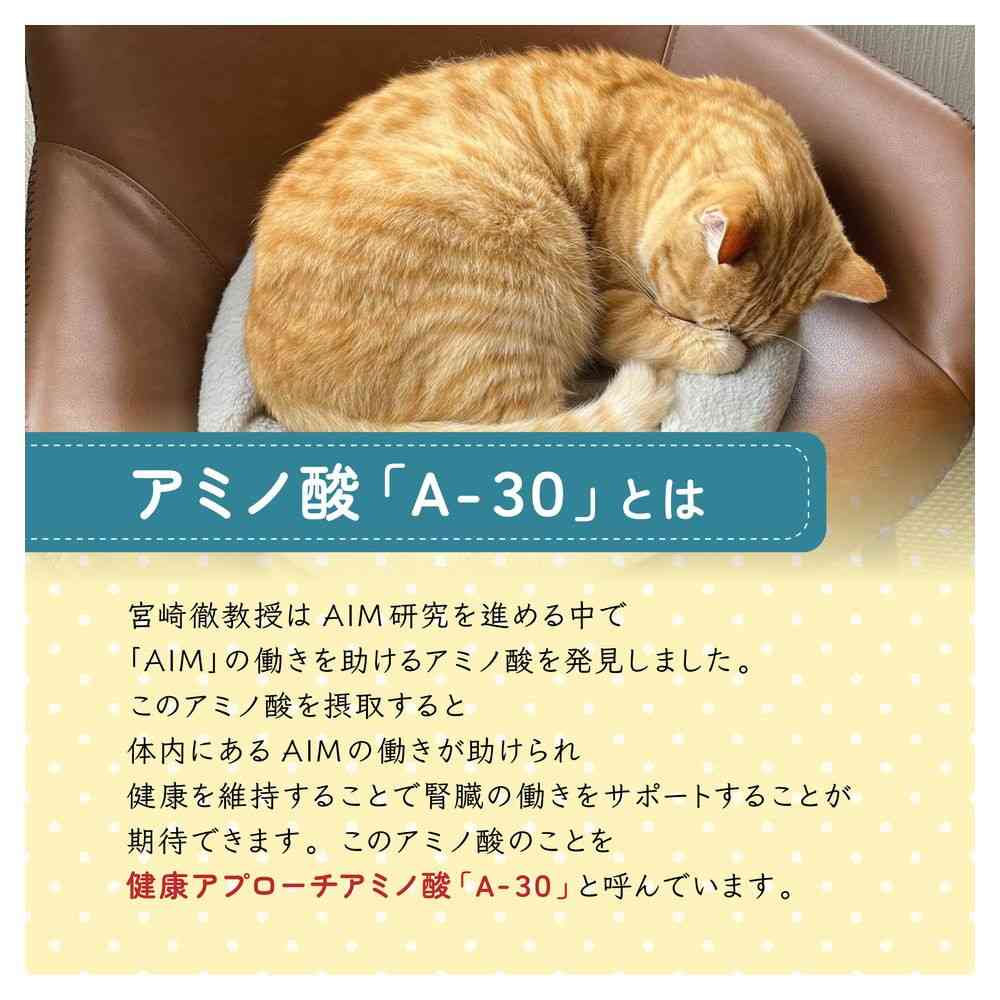 マルカン AIM30 カリッとトリーツ 4種のアソート 牧場の旨みセレクション 80g - Image 4