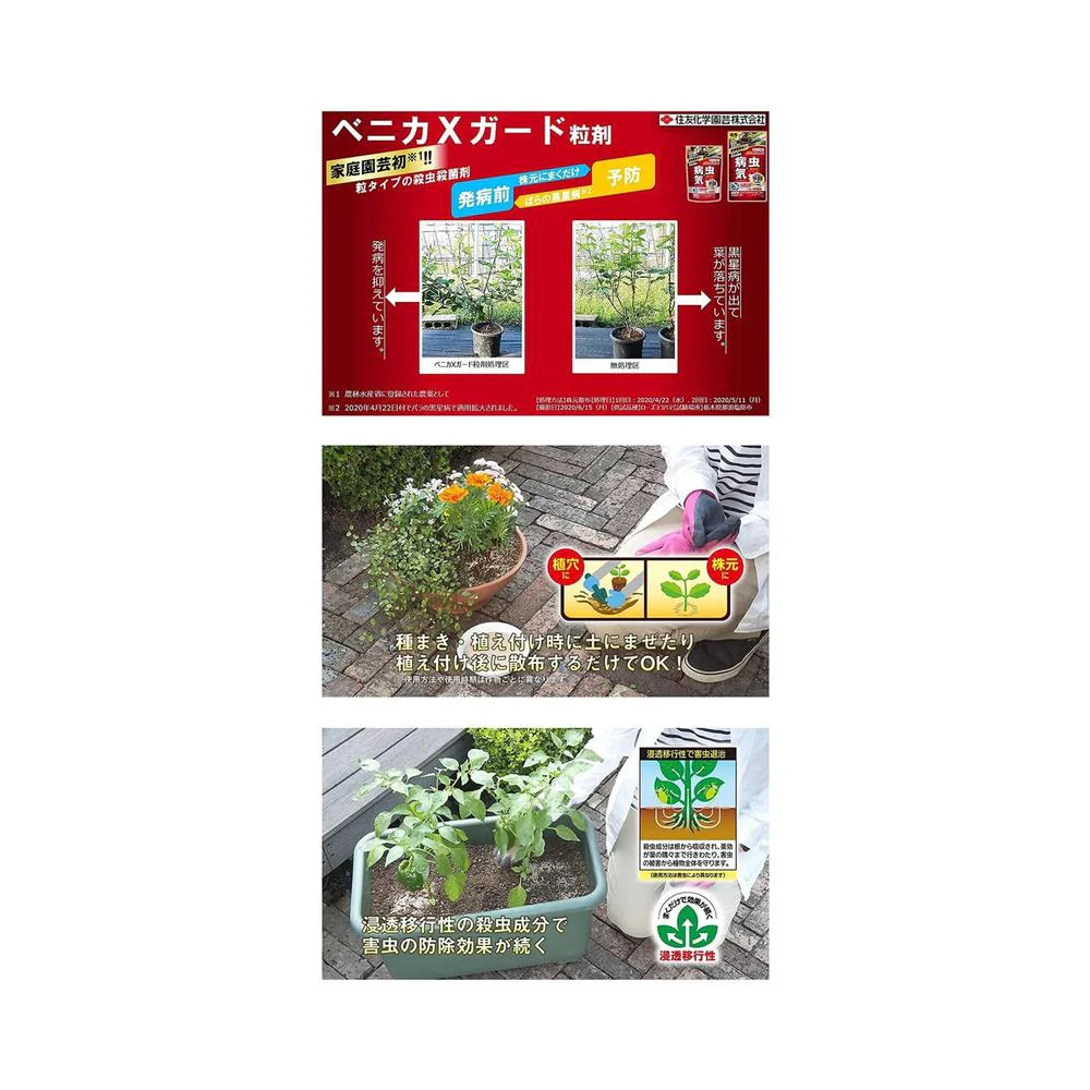 【農薬】住友化学園芸 ベニカXガード 粒剤 250g - Image 3
