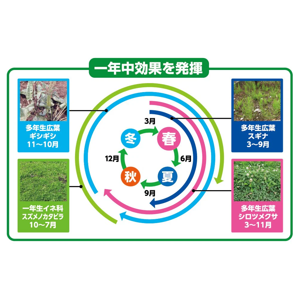 (農)住友化学園芸 草退治E粒剤 3Kg - Image 6