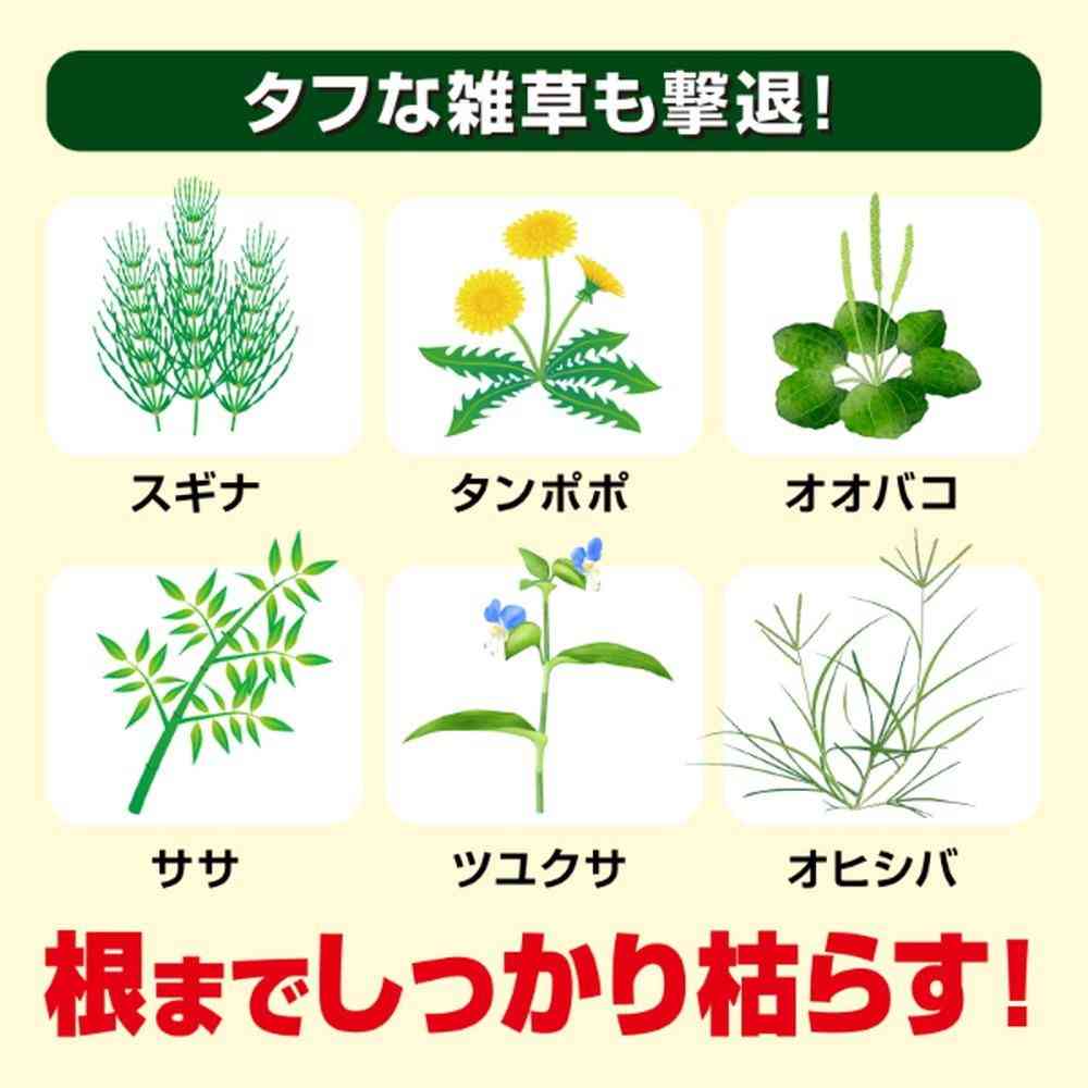 【農薬】キンチョー 草退治 ストロング 粒剤 1.5kg - Image 5
