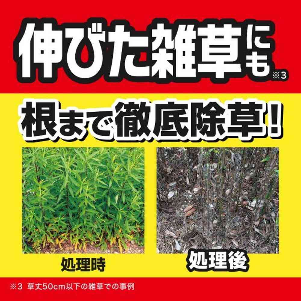 【農薬】キンチョー 草退治 ストロング シャワー 2L - Image 4