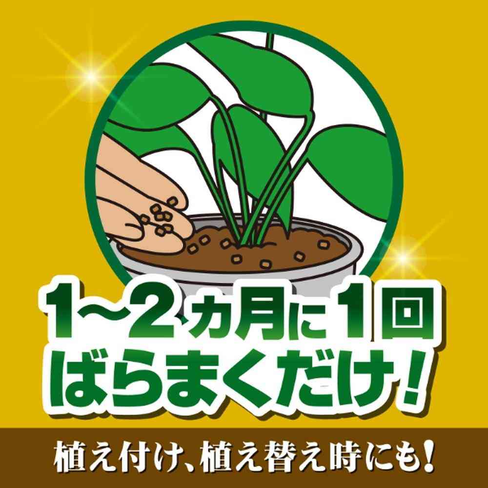 キンチョー X-ENERGY ロング 粒タイプ 700g - Image 2